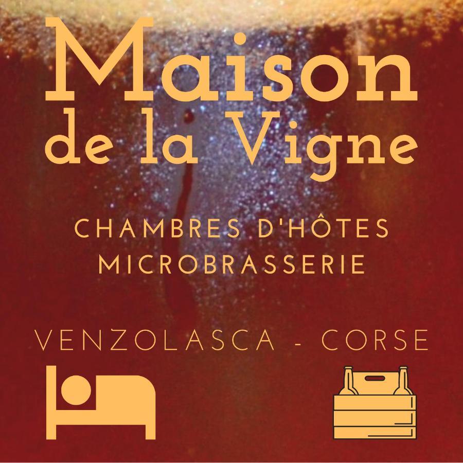 Maison De La Vigne Venzolasca Esterno foto