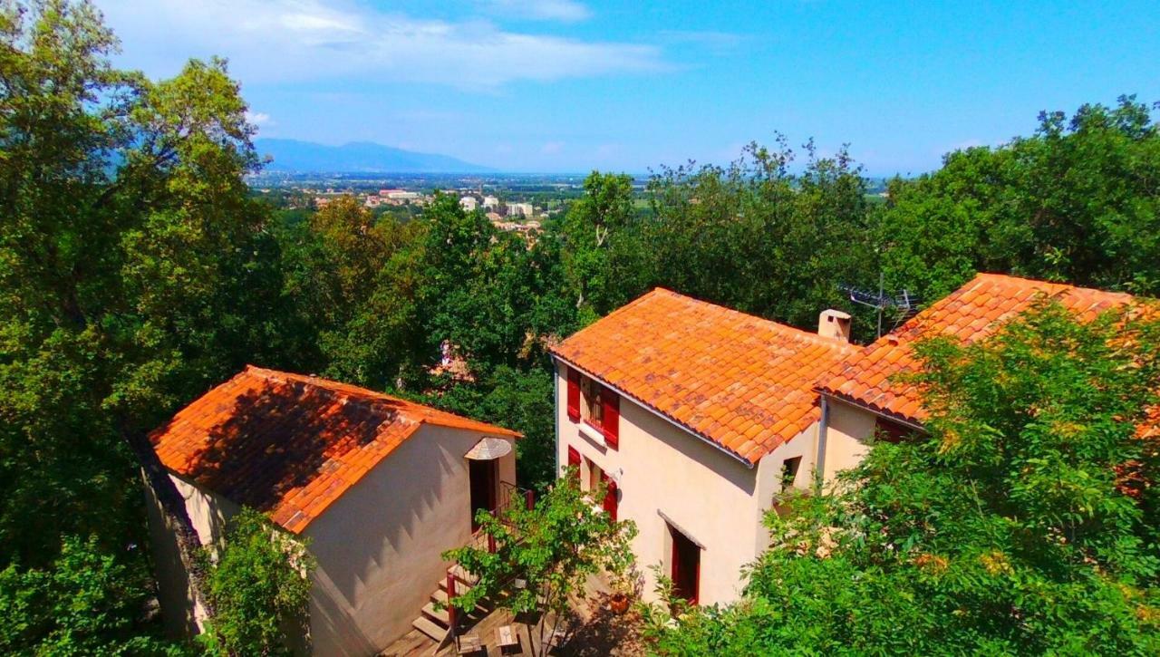 Maison De La Vigne Venzolasca Esterno foto