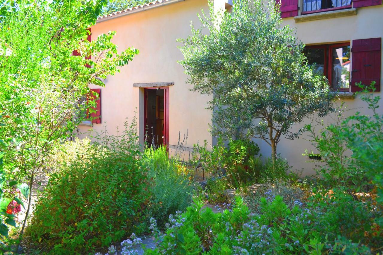 Maison De La Vigne Venzolasca Esterno foto